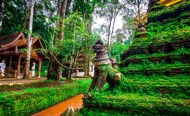 scopri l'essenziale di chiang mai in inglese img 2