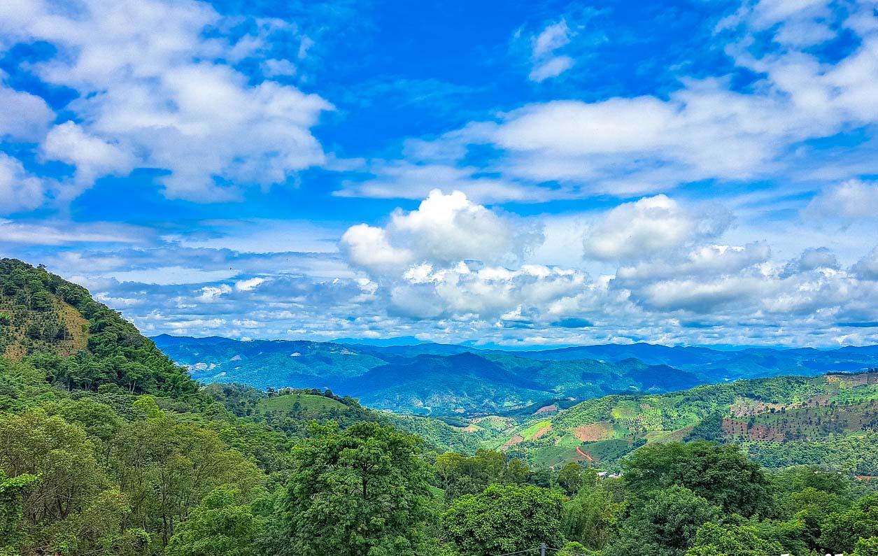 temples and mountains of chiang rai: a spiritual and sensory 1 day trip img 3