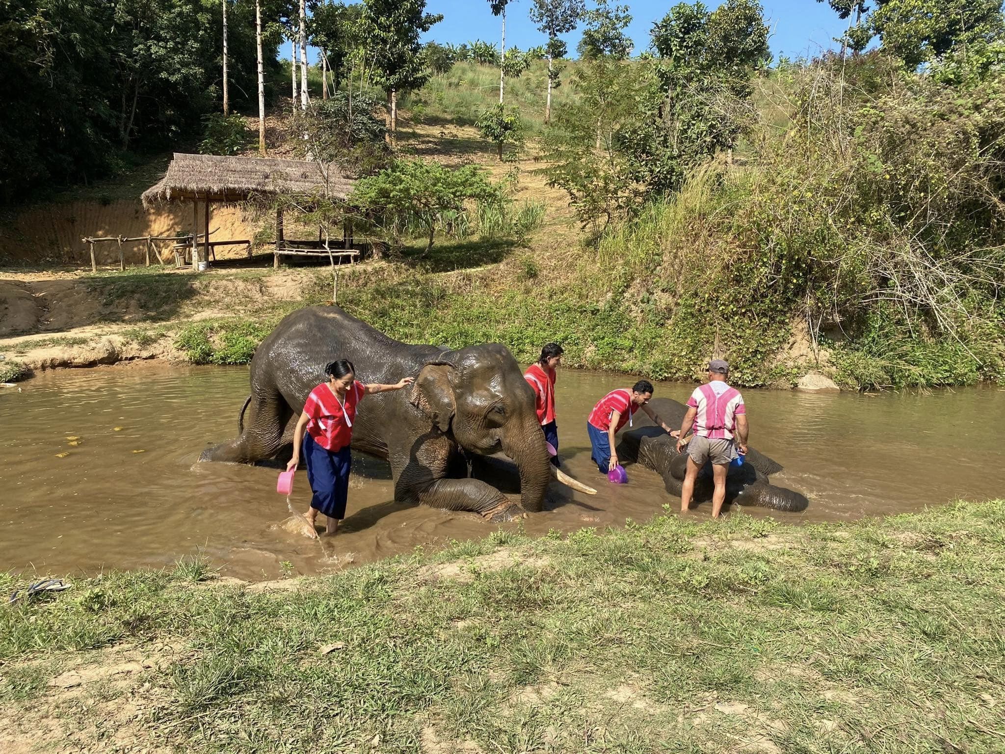 rencontre éthique et respectueuse avec les éléphants à chiang rai