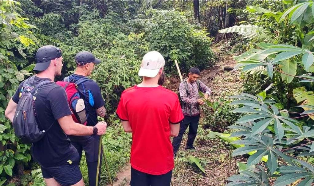 trek à la journée dans les montagnes de chiang rai