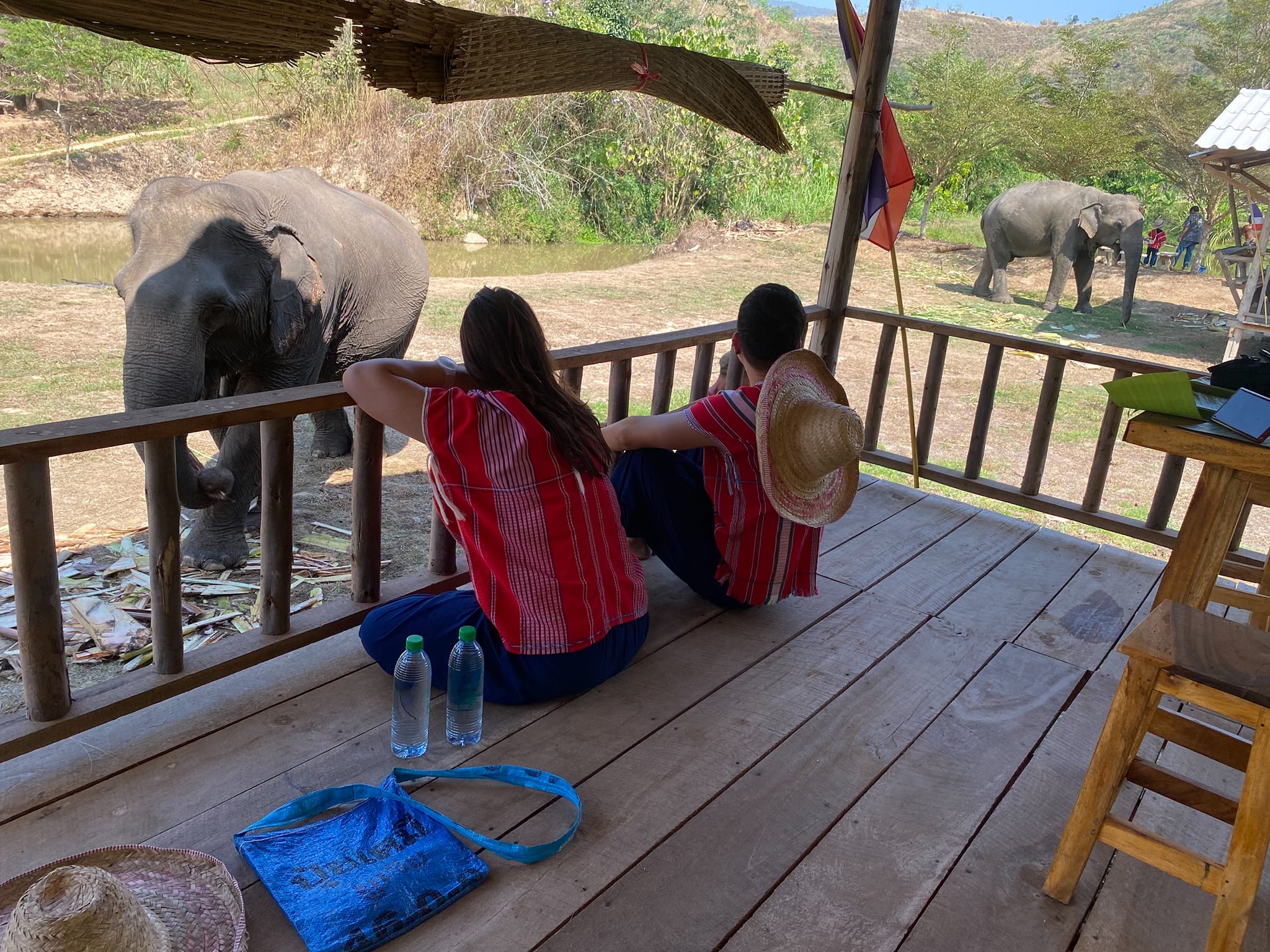 2 days / 1 night trek in chiang rai mountains + elephants img 3